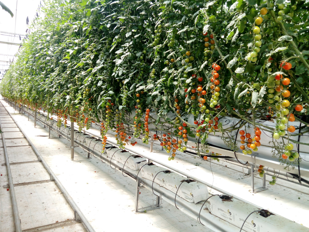 Control y trazabilidad