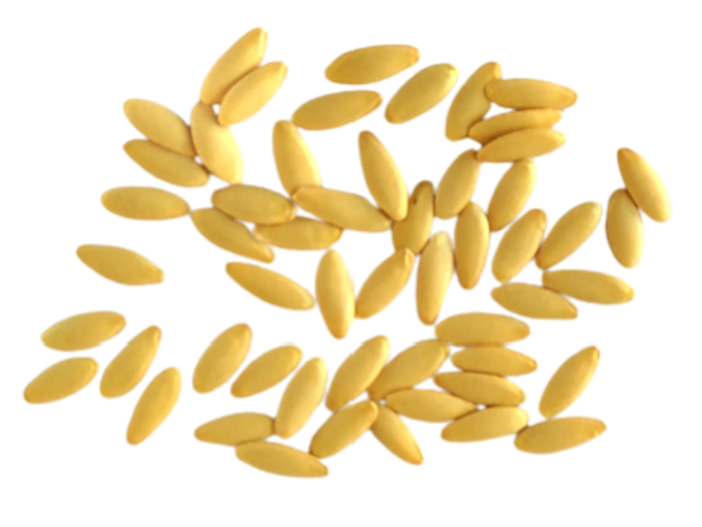 Control y trazabilidad